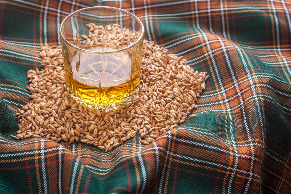 Barley Whisky na tartanie
